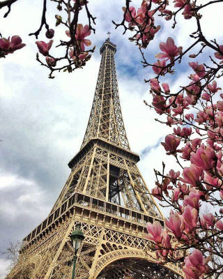 Eiffel Tower CEWE